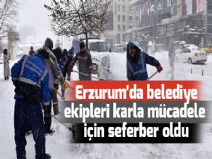 Erzurum'da belediye ekipleri karla mücadele için seferber oldu