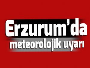 Erzurum'da meteorolojik uyarı
