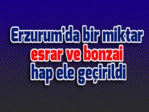 Erzurum'da bir miktar esrar ve bonzai hap ele geçirildi