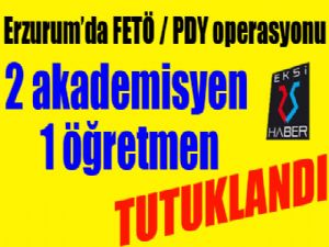 Erzurum'da FETÖ/PDY'den 3 kişi tutuklandı