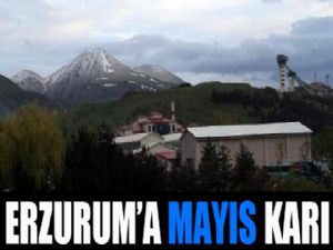 Erzurum'a mayıs karı...