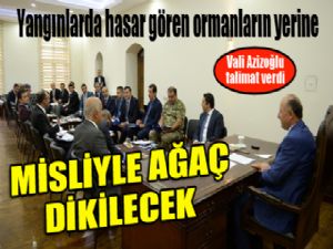 Vali Azizoğlu: "Ağaç olmayan alan bırakmayacağız "