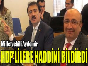 Milletvekili Aydemir: "Seçilmişiz diye polise hakaret etmek haddi aşmaktır"