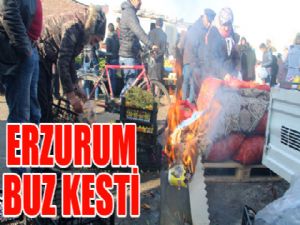 Doğu Anadolu'da soğuk hava