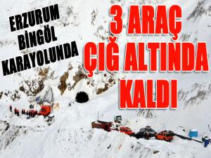 Erzurumda 3 otomobil çığ altında kaldı