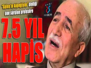 "Gülen'in köpeğiyim" dediği öne sürülen profesöre 7 yıl 6 ay hapis