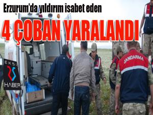 Erzurumda yıldırımın isabet ettiği 4 çoban yaralandı