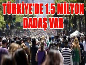 Türkiyede 1.5 milyon dadaş var