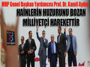 Prof. Dr. Aydın: Hainlerin oyununu bozan Milliyetçi Harekettir