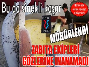 Horasan'da Kaçak kaşar peyniri üretimi yapıldığı belirlenen iş yeri mühürlendi