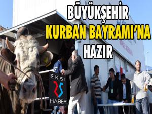 Büyükşehir Kurban Bayramına hazır