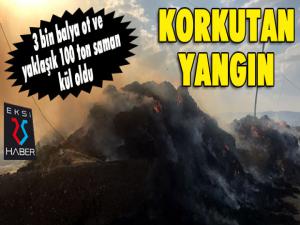 Erzurumda korkutan ot yangını