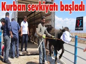 Erzurumdan batıya kurban sevkiyatı başladı