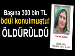 300 bin TL ödüllü"Gri" listede aranan kadın terörist öldürüldü