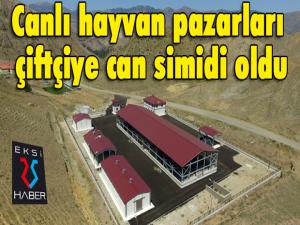 Canlı hayvan pazarları çiftçiye can simidi oldu