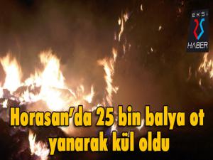 Horasanda 25 bin balya ot yanarak kül oldu