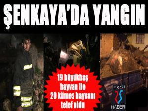 Şenkayada ahır yangınında 19 büyükbaş hayvan telef oldu