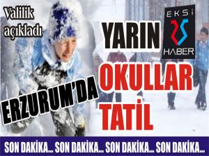 Erzurumda eğitime kar tatili