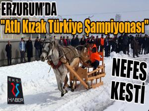 Erzurumda "Atlı Kızak Türkiye Şampiyonası" nefes kesti