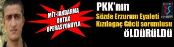 MİT-Jandarma ortak operasyonuyla Gri Liste'deki terörist öldürüldü