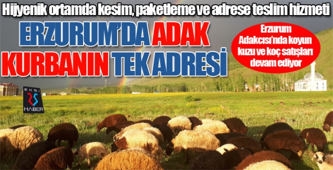 Erzurum'da adaklık kurbanın tek adresi...