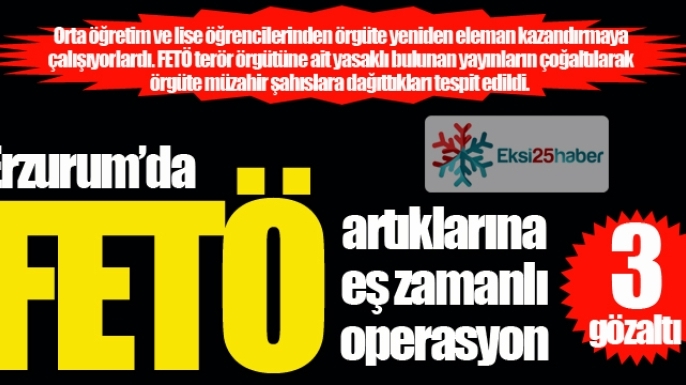 Erzurum'da FETÖ'cülere eş zamanlı operasyon...