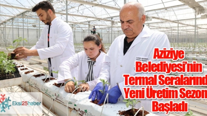 Aziziye Belediyesi’nin Termal Seralarında Yeni Üretim Sezonu Başladı