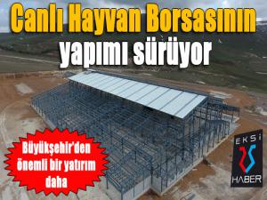 Büyükşehirin yatırımı Canlı Hayvan Borsasının yapımı sürüyor