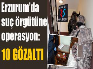 Erzurumda suç örgütüne operasyon: 10 gözaltı
