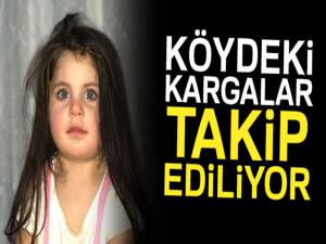 Leyla için Batmandan gelen avcı ekibi dürbünlerle kargaları gözlüyor