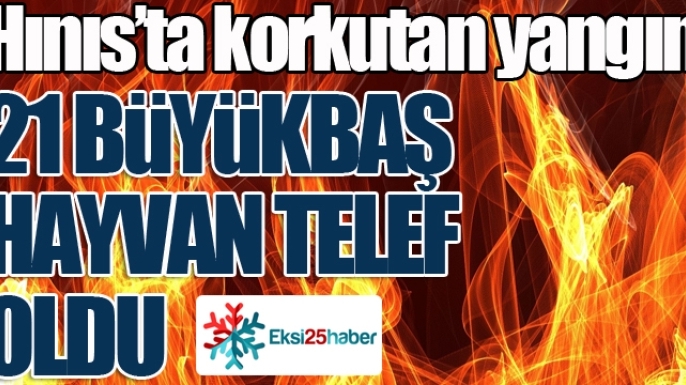 Hınıs'ta yangın: 21 büyükbaş hayvan telef oldu...