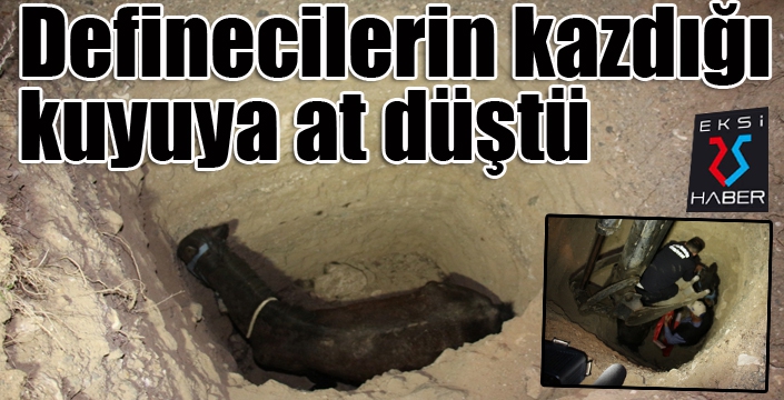 Definecilerin kazdığı kuyuya at düştü