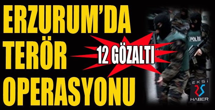 Erzurum'da terör operasyonu: 12 gözaltı