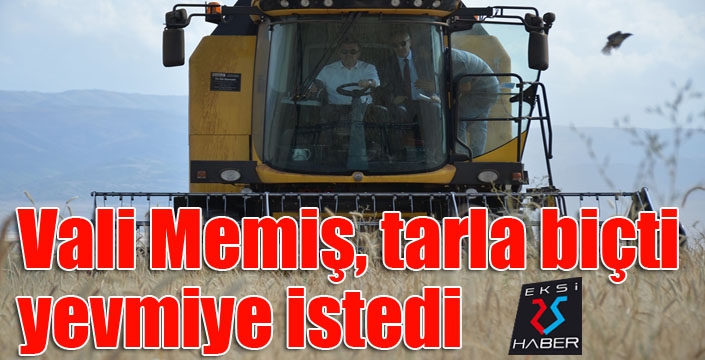 Vali Memiş, tarla biçti, yevmiye istedi