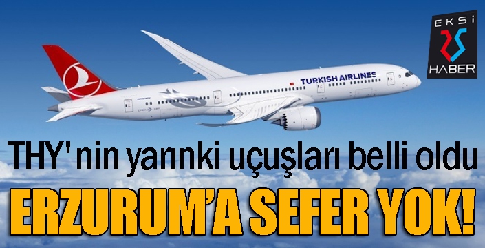 THY'nin yarınki uçuşları belli oldu